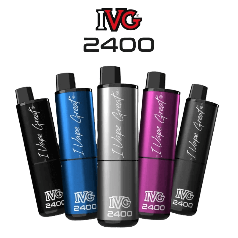 IVG 2400 Basisgerät in verschiedenen Farben, inklusive blau und silber, modern und stylisch für den dynamischen Dampfer.