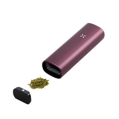 PAX Plus Vaporizer in Elderberry Pink zeigt stilvolle Wirkung, ideal für entspannte Momente unterwegs.