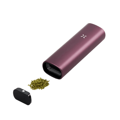 Pax Plus Vaporizer - Elderberry (Pink) Vaporizer - EAN 0840005601372 - von vape-dealer.de