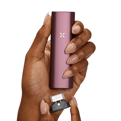 Alt Tag: Halte den PAX Plus Vaporizer in Elderberry Pink in der Hand und genieße stilvolle Dampfsessions unterwegs.