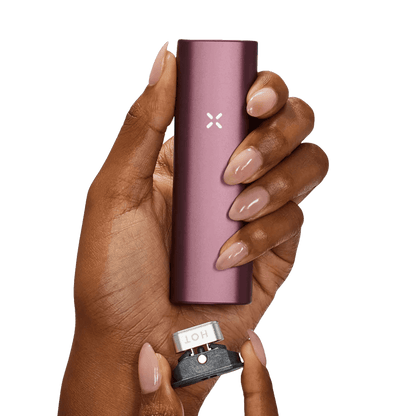 Pax Plus Vaporizer - Elderberry (Pink) Vaporizer - EAN 0840005601372 - von vape-dealer.de