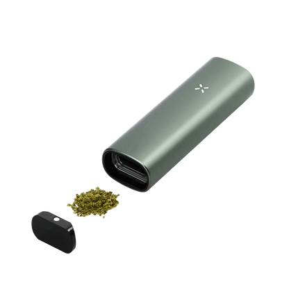 PAX Plus Vaporizer in Mintgrün, ideal für innovative Dampfer. Kompaktes Design und leistungsstarke Technologie für unterwegs.