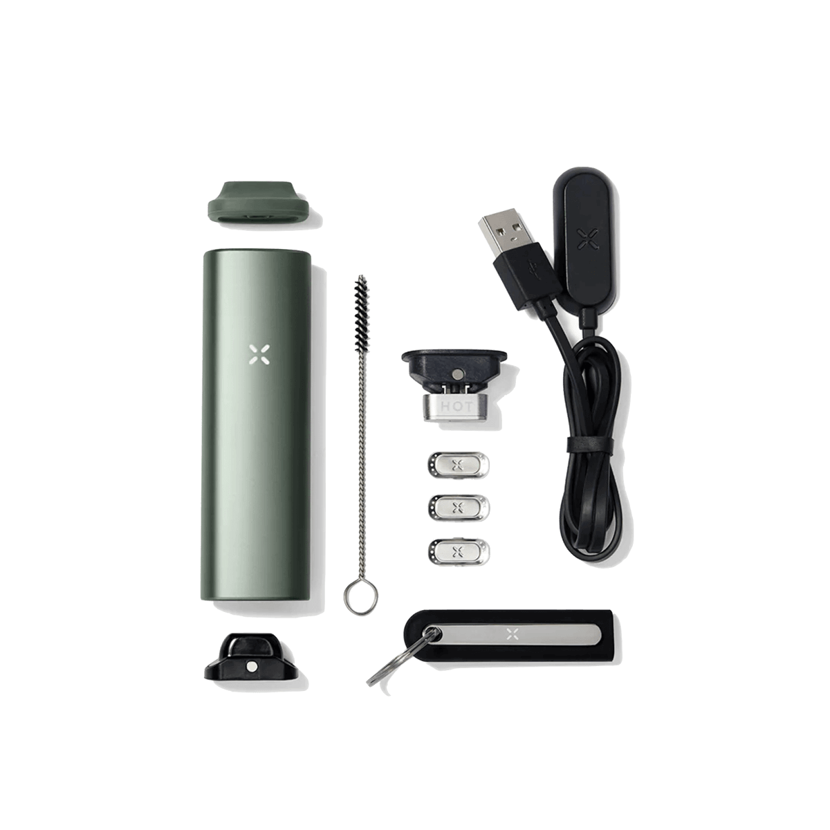 Erlebe den PAX Plus Vaporizer in Mintgrün – Dein stylischer Begleiter für innovative Dampferlebnisse unterwegs.