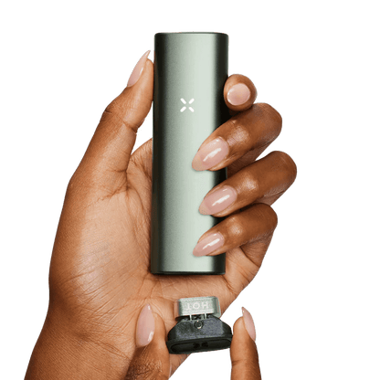 Alt Tag: Genieße unterwegs mit dem PAX Plus Vaporizer in Mintgrün, leistungsstark und stilvoll, ein echter Hingucker in Deiner Hand.