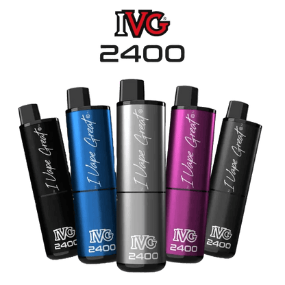 IVG 2400 Basisgerät in verschiedenen Farben, inklusive blau und silber, modern und stylisch für den dynamischen Dampfer.